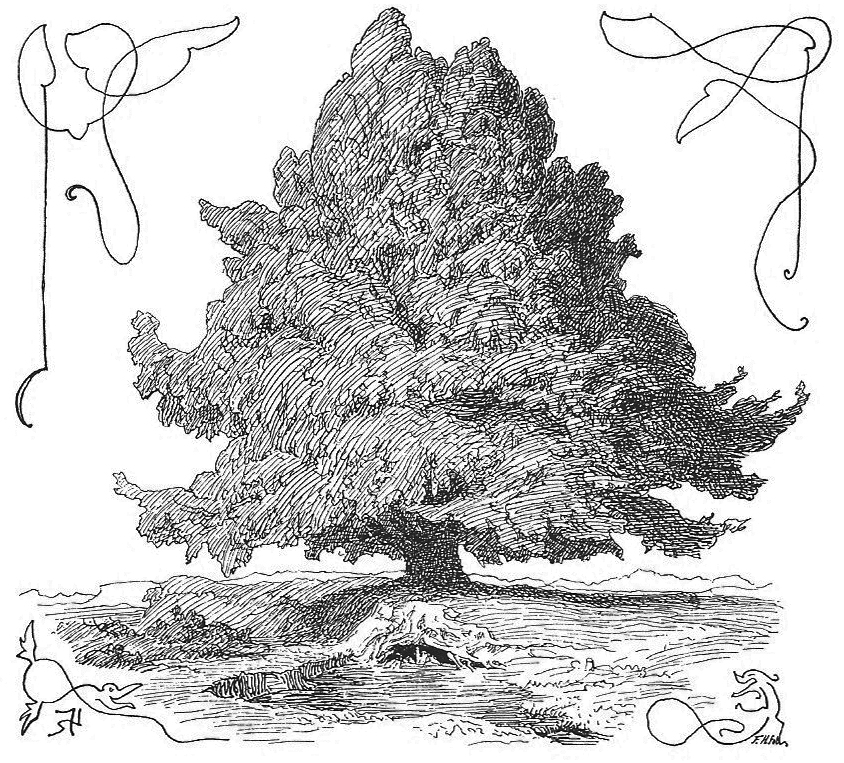 Om_Yggdrasil_by_Frølich.jpg Om_Yggdrasil_by_Frølich.jpg