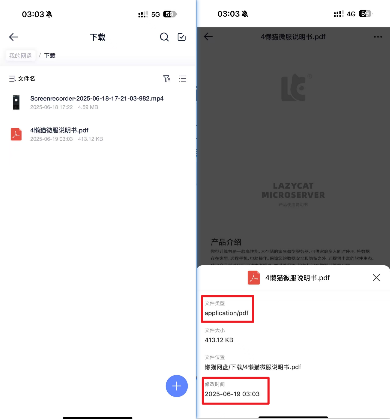 image-20250619031455856